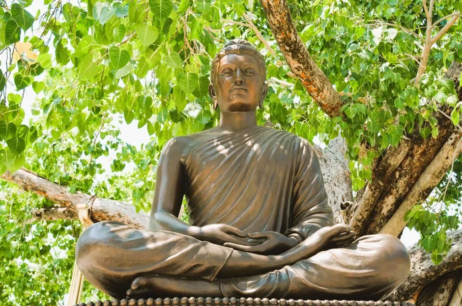 Tượng Phật Thích Ca ngồi thiền dưới tán cây bồ đề